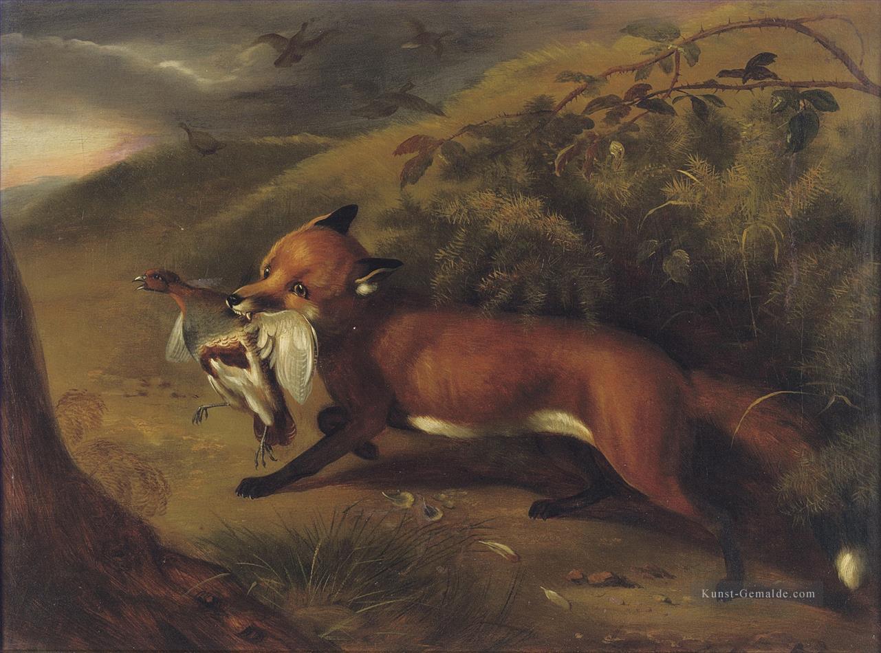 Der Fuchs mit einem Rebhuhn Philip Reinagle Tiere Ölgemälde